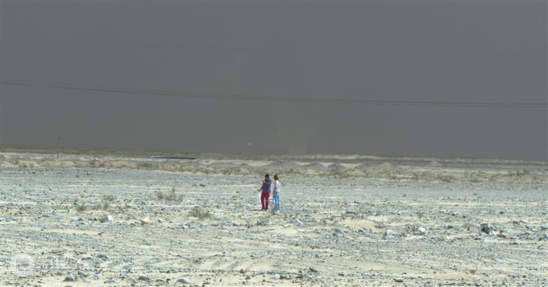 15届上海双年展_开启花儿与蜜蜂的约会｜国家美术·关注 博文精选 丨 崇真艺客