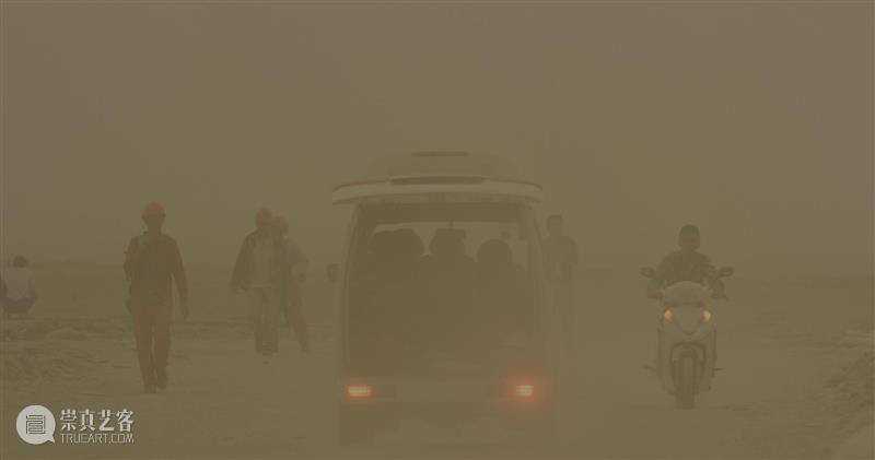 15届上海双年展_开启花儿与蜜蜂的约会｜国家美术·关注 博文精选 丨 崇真艺客