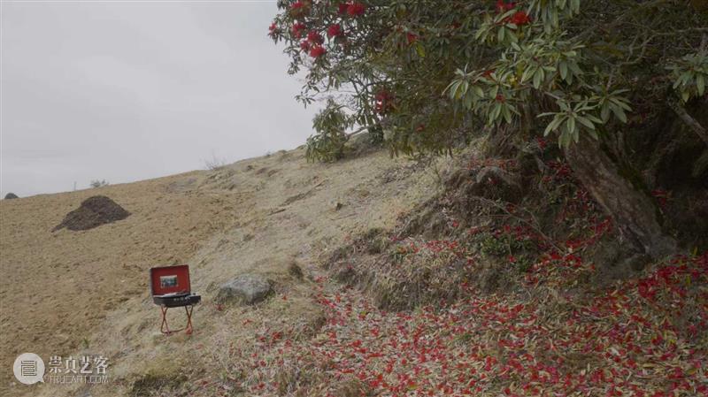 15届上海双年展_开启花儿与蜜蜂的约会｜国家美术·关注 博文精选 丨 崇真艺客