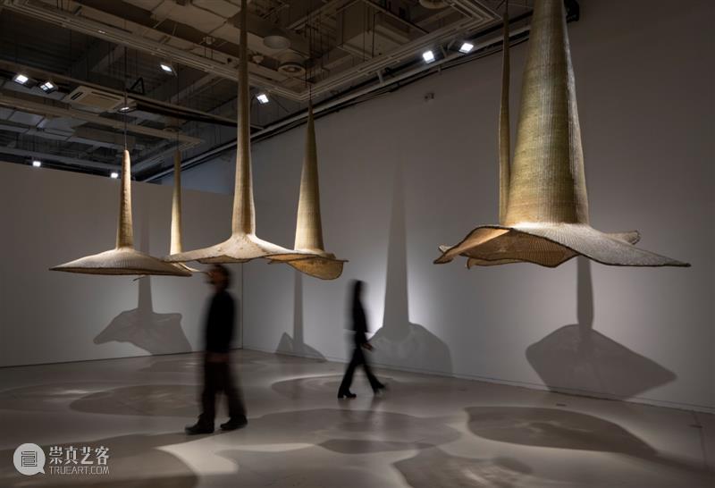 15届上海双年展_开启花儿与蜜蜂的约会｜国家美术·关注 博文精选 丨 崇真艺客