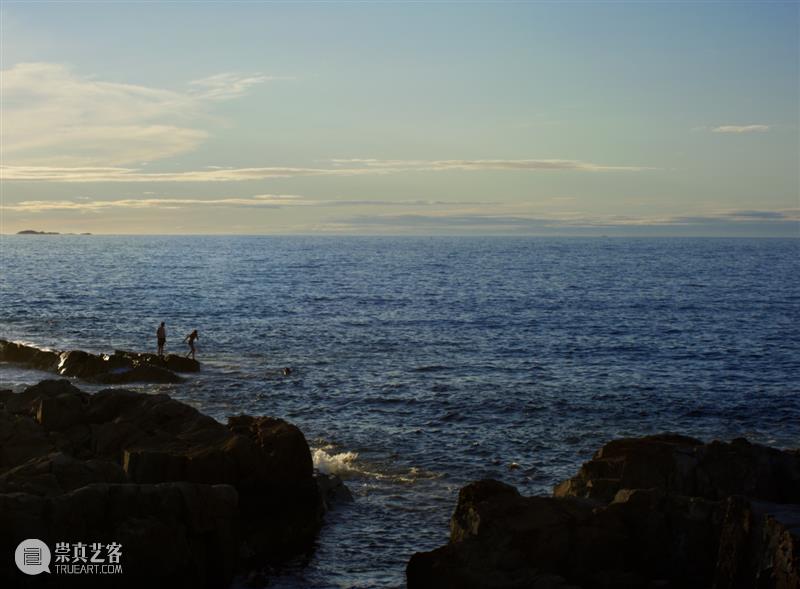 15届上海双年展_开启花儿与蜜蜂的约会｜国家美术·关注 博文精选 丨 崇真艺客