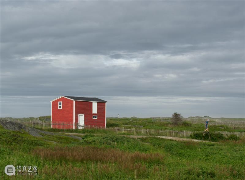 15届上海双年展_开启花儿与蜜蜂的约会｜国家美术·关注 博文精选 丨 崇真艺客