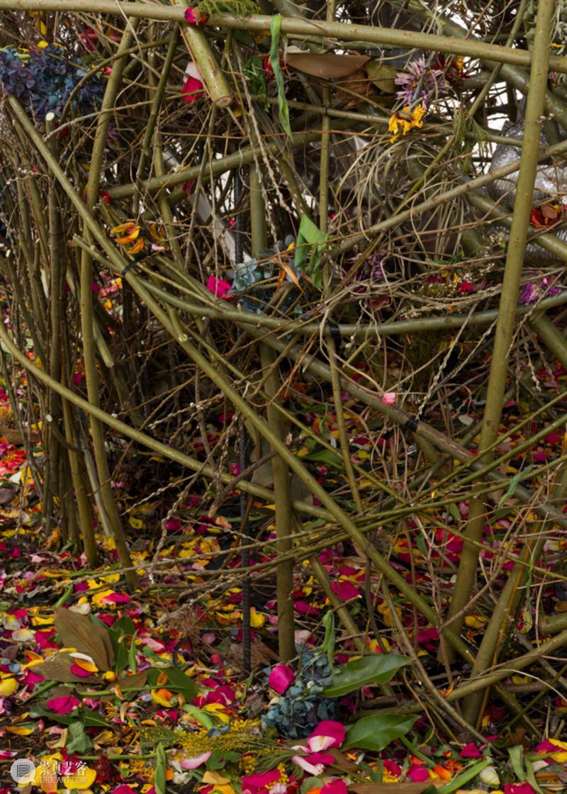 15届上海双年展_开启花儿与蜜蜂的约会｜国家美术·关注 博文精选 丨 崇真艺客