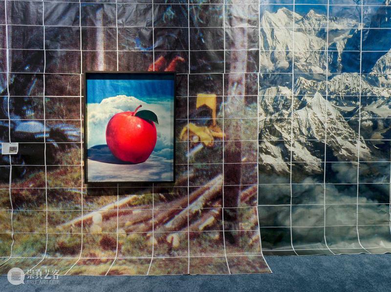 15届上海双年展_开启花儿与蜜蜂的约会｜国家美术·关注 博文精选 丨 崇真艺客