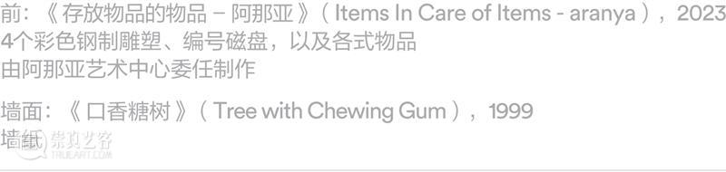 阅读｜张震中，《加布里尔·库里：观时》  阿那亚艺术中心 崇真艺客