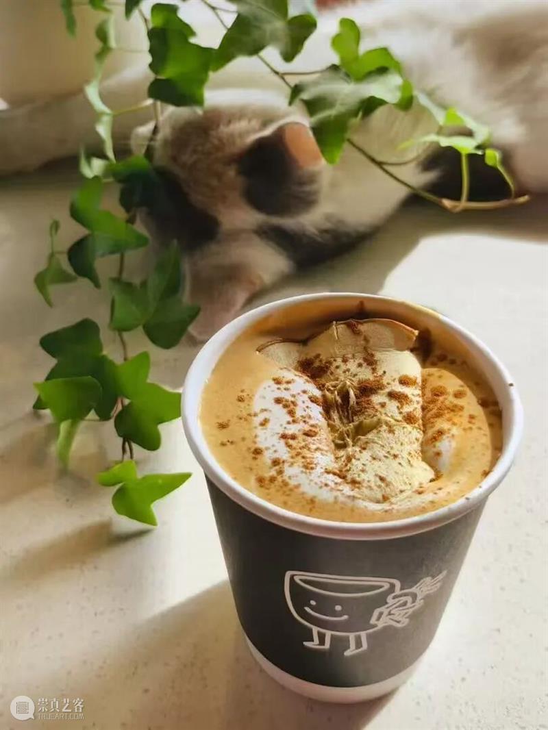 茶香飘满屋，冬聚暖满村 崇真艺客