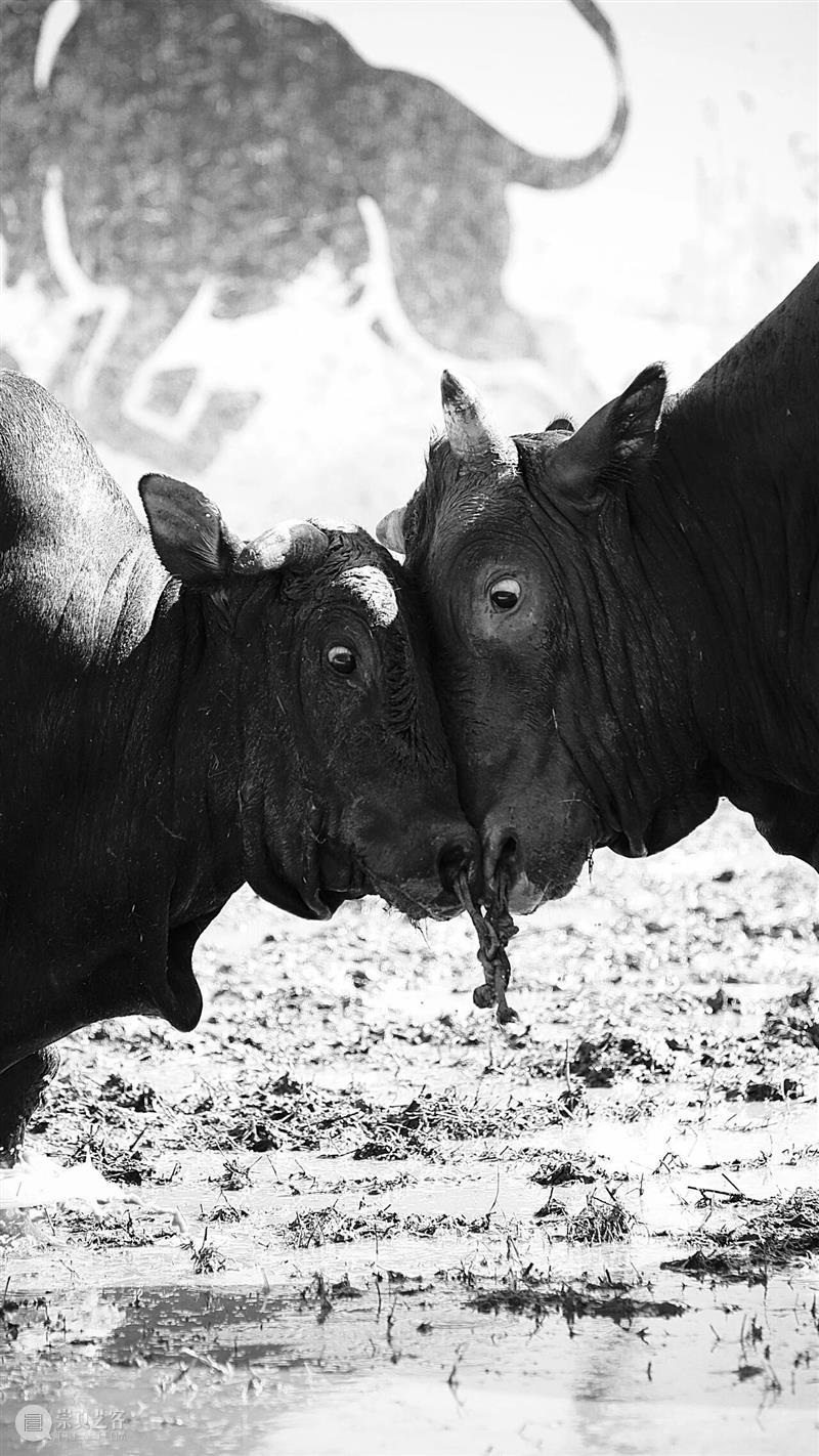 轰隆隆！泥美术馆跨年之夜活动安排 崇真艺客