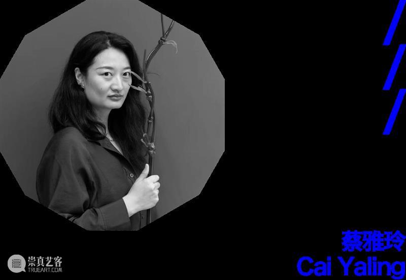 “日月星辰江河湖海风雨雷电：文字诗学”开幕在即 崇真艺客