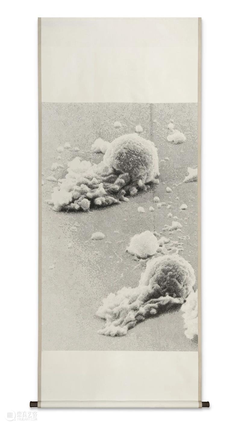 香格纳M50 | 徐震：刹那沉思 | 展览报告  ShanghART 崇真艺客