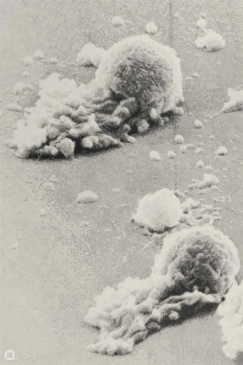 香格纳M50 | 徐震：刹那沉思 | 展览报告  ShanghART 崇真艺客