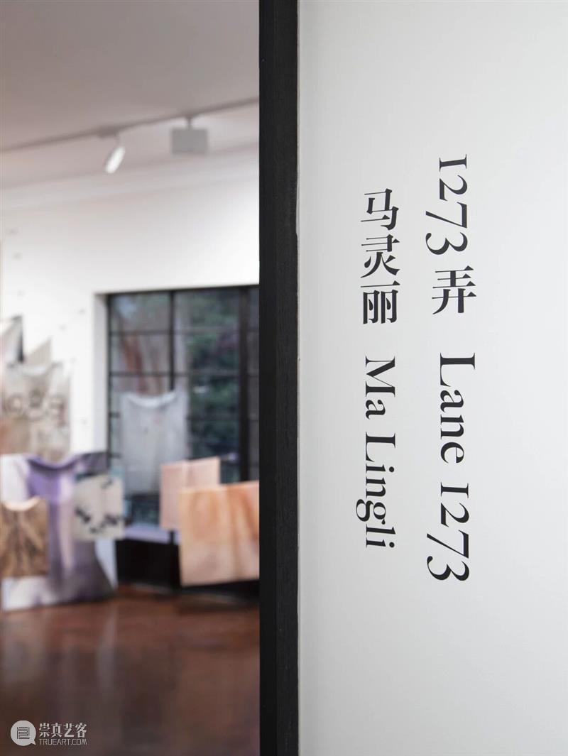 ASE 预告｜年末重磅！ASE × 愚社 读书会特别活动招募：肉身作为感知的边界与通道 崇真艺客