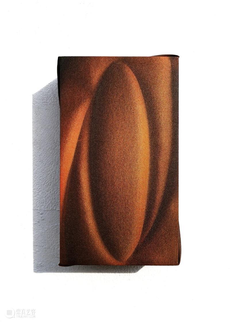 ASE 预告｜年末重磅！ASE × 愚社 读书会特别活动招募：肉身作为感知的边界与通道 崇真艺客