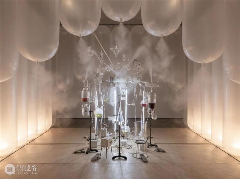 油罐艺术不眠夜2026|味觉幻象:你的味觉体验“真实”?吗? 崇真艺客