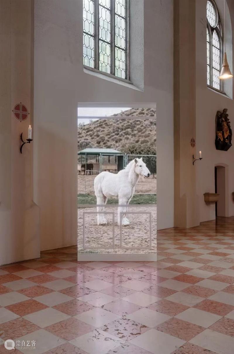 油罐艺术不眠夜2026|艺术广场 崇真艺客