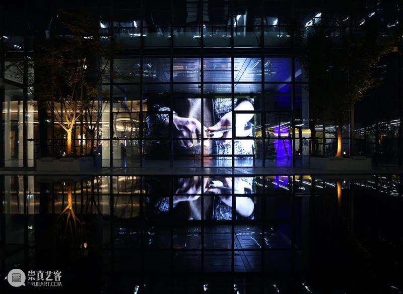 Cloud NOW | 展览作品「大卫·克拉耶博:木雕工与森林」 视频资讯 萃舍云集 崇真艺客