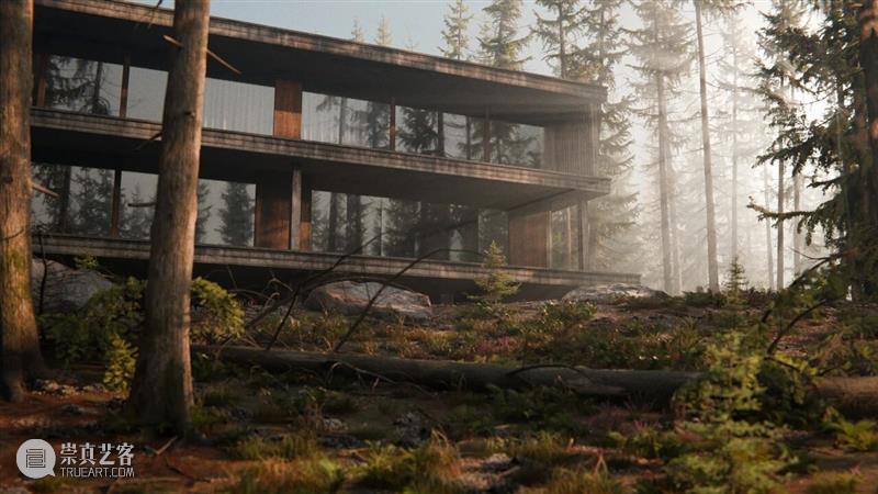 Cloud NOW | 展览作品「大卫·克拉耶博:木雕工与森林」 视频资讯 萃舍云集 崇真艺客