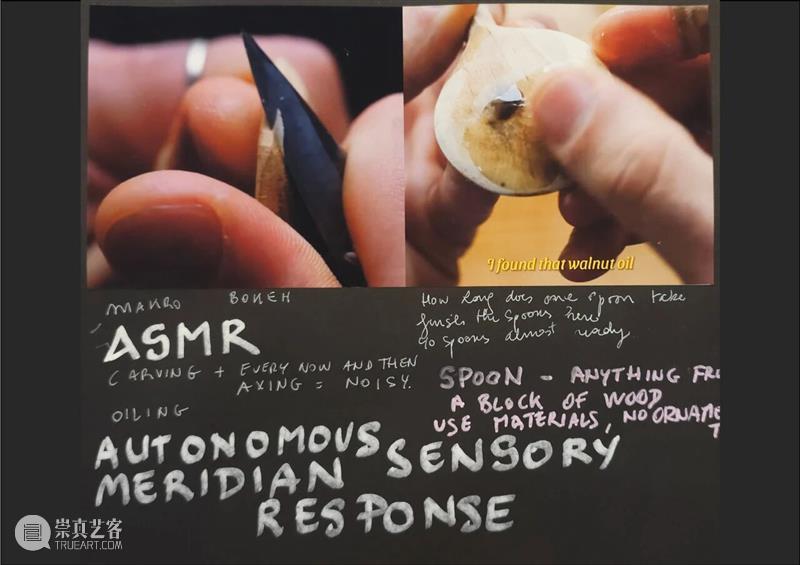 Cloud NOW | 展览作品「大卫·克拉耶博:木雕工与森林」 视频资讯 萃舍云集 崇真艺客