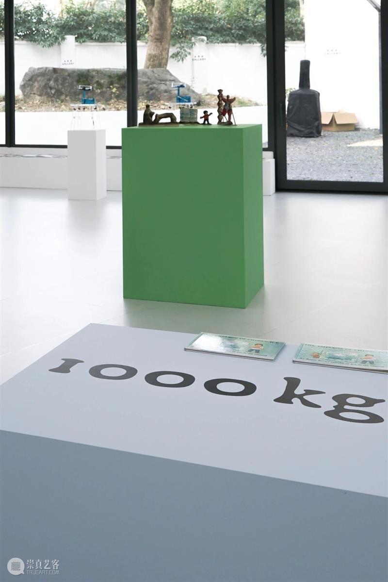 展览现场 Installation View丨群展：水图 Water Album 崇真艺客