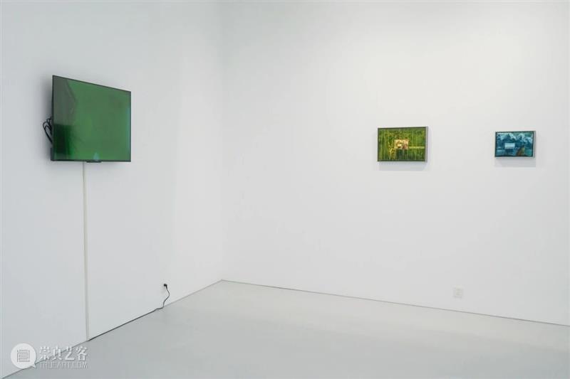 展览现场 Installation View丨群展：水图 Water Album 崇真艺客