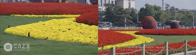 艺术家｜姚清妹近期展览合集 崇真艺客