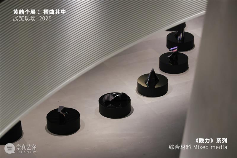 震旦美术馆 | 2025年度回顾（内含福利） 崇真艺客