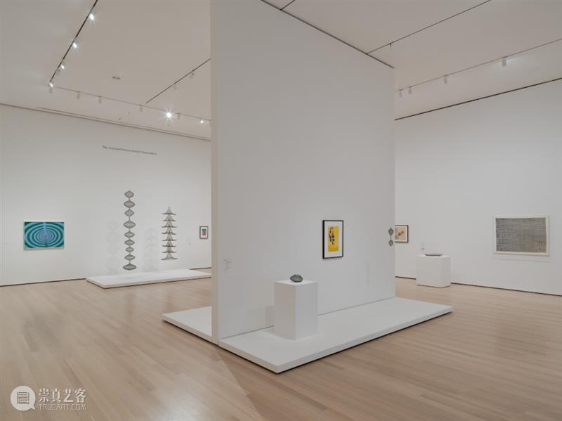 鲁斯·阿萨瓦_万物相连 生生不息｜国家美术·关注 视频资讯 丨 崇真艺客