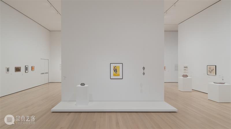 鲁斯·阿萨瓦_万物相连 生生不息｜国家美术·关注 视频资讯 丨 崇真艺客