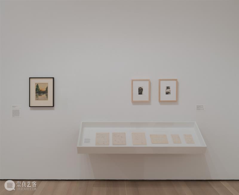 鲁斯·阿萨瓦_万物相连 生生不息｜国家美术·关注 视频资讯 丨 崇真艺客