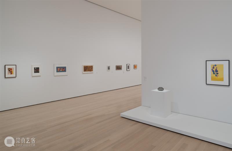 鲁斯·阿萨瓦_万物相连 生生不息｜国家美术·关注 视频资讯 丨 崇真艺客