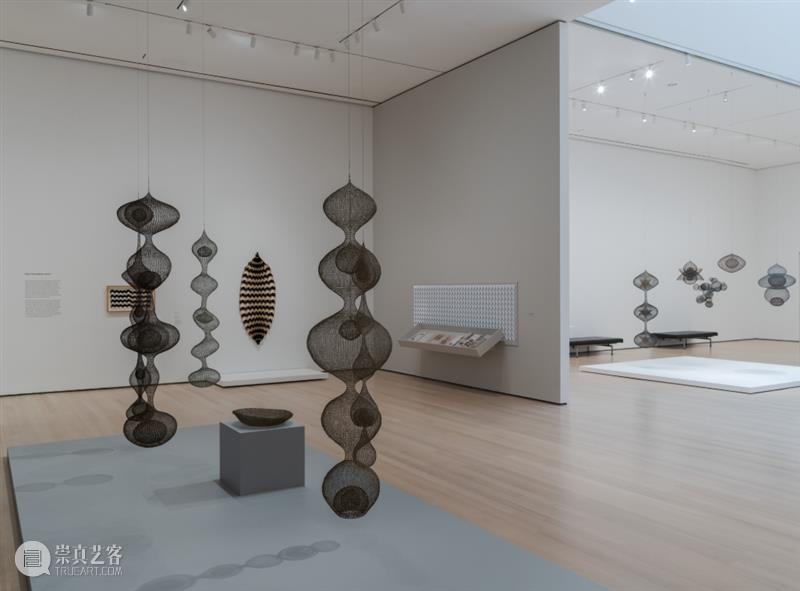 鲁斯·阿萨瓦_万物相连 生生不息｜国家美术·关注 视频资讯 丨 崇真艺客