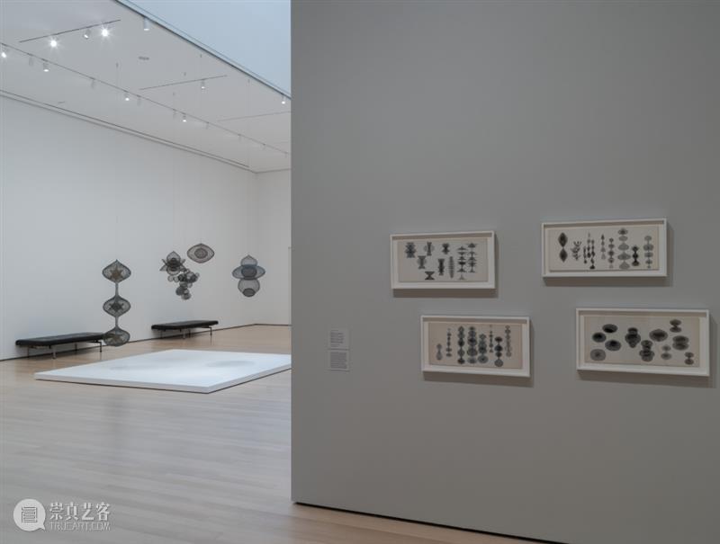 鲁斯·阿萨瓦_万物相连 生生不息｜国家美术·关注 视频资讯 丨 崇真艺客