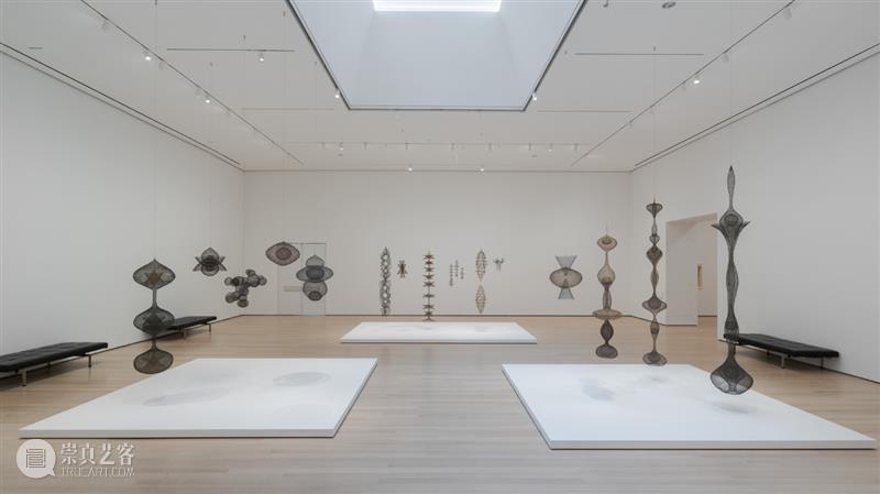 鲁斯·阿萨瓦_万物相连 生生不息｜国家美术·关注 视频资讯 丨 崇真艺客