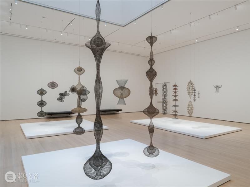 鲁斯·阿萨瓦_万物相连 生生不息｜国家美术·关注 视频资讯 丨 崇真艺客