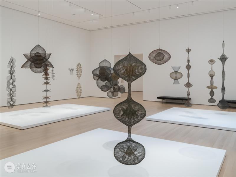 鲁斯·阿萨瓦_万物相连 生生不息｜国家美术·关注 视频资讯 丨 崇真艺客