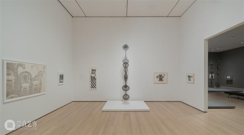 鲁斯·阿萨瓦_万物相连 生生不息｜国家美术·关注 视频资讯 丨 崇真艺客