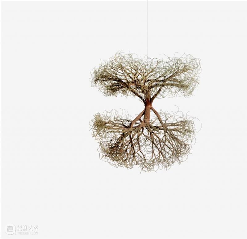 鲁斯·阿萨瓦_万物相连 生生不息｜国家美术·关注 视频资讯 丨 崇真艺客