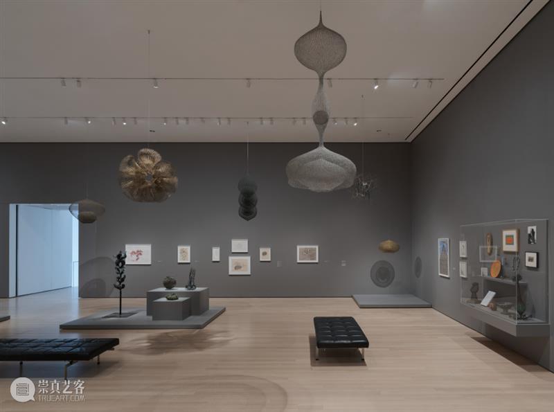 鲁斯·阿萨瓦_万物相连 生生不息｜国家美术·关注 视频资讯 丨 崇真艺客