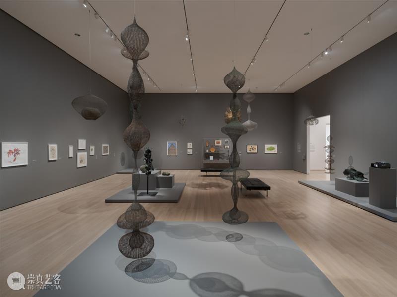 鲁斯·阿萨瓦_万物相连 生生不息｜国家美术·关注 视频资讯 丨 崇真艺客