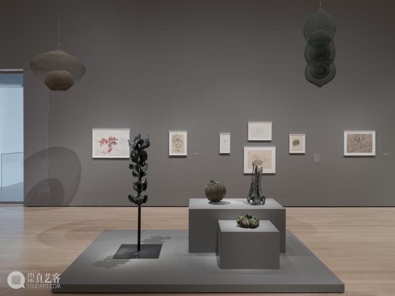 鲁斯·阿萨瓦_万物相连 生生不息｜国家美术·关注 视频资讯 丨 崇真艺客