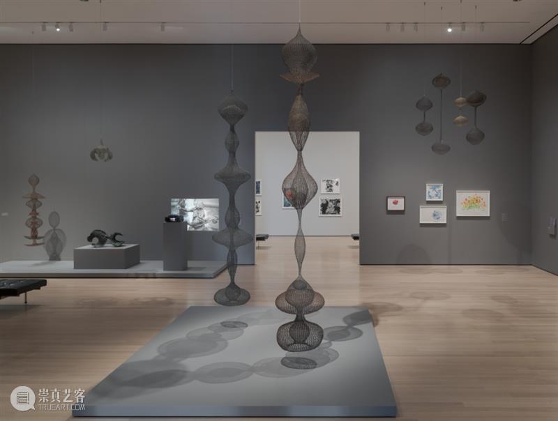 鲁斯·阿萨瓦_万物相连 生生不息｜国家美术·关注 视频资讯 丨 崇真艺客