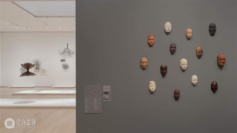 鲁斯·阿萨瓦_万物相连 生生不息｜国家美术·关注 视频资讯 丨 崇真艺客