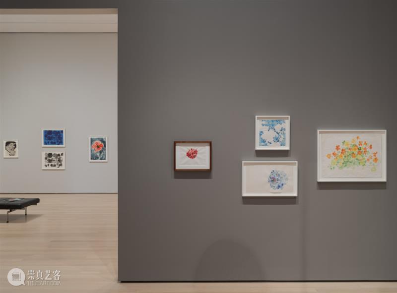 鲁斯·阿萨瓦_万物相连 生生不息｜国家美术·关注 视频资讯 丨 崇真艺客