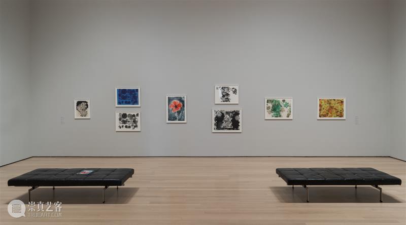 鲁斯·阿萨瓦_万物相连 生生不息｜国家美术·关注 视频资讯 丨 崇真艺客