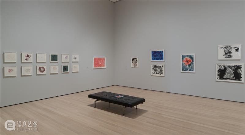 鲁斯·阿萨瓦_万物相连 生生不息｜国家美术·关注 视频资讯 丨 崇真艺客