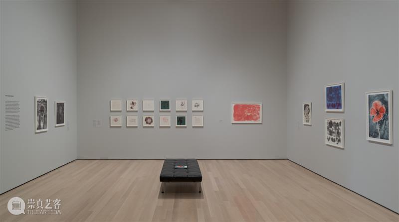 鲁斯·阿萨瓦_万物相连 生生不息｜国家美术·关注 视频资讯 丨 崇真艺客