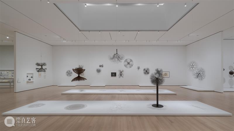 鲁斯·阿萨瓦_万物相连 生生不息｜国家美术·关注 视频资讯 丨 崇真艺客