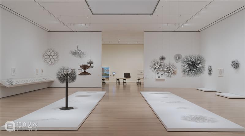 鲁斯·阿萨瓦_万物相连 生生不息｜国家美术·关注 视频资讯 丨 崇真艺客