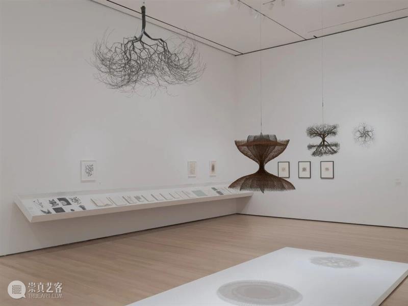 鲁斯·阿萨瓦_万物相连 生生不息｜国家美术·关注 视频资讯 丨 崇真艺客