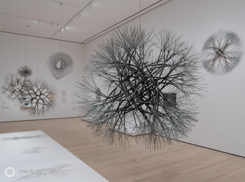 鲁斯·阿萨瓦_万物相连 生生不息｜国家美术·关注 视频资讯 丨 崇真艺客