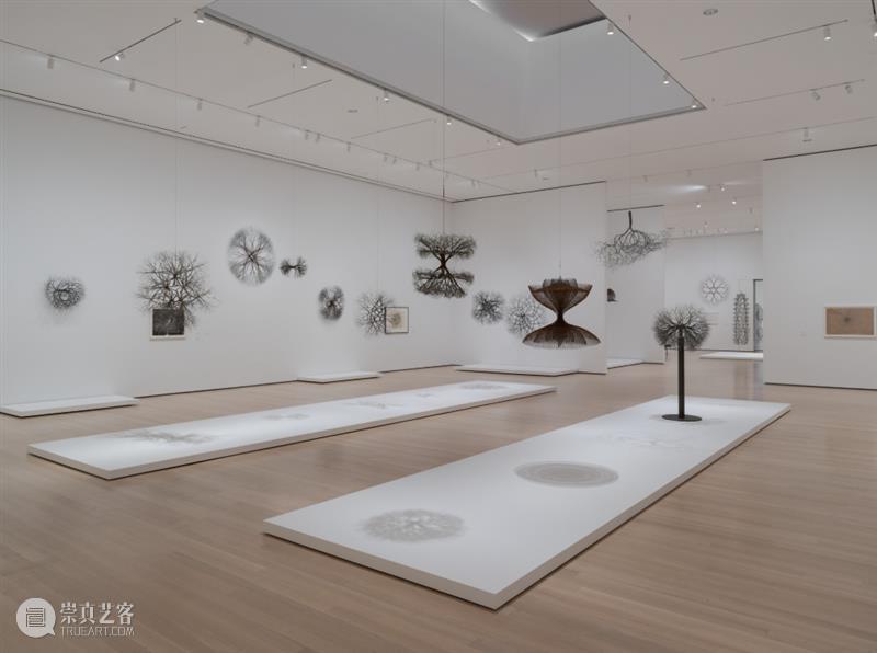 鲁斯·阿萨瓦_万物相连 生生不息｜国家美术·关注 视频资讯 丨 崇真艺客